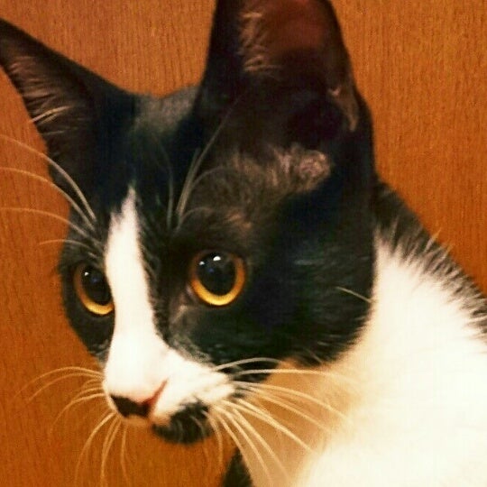 からあげビール