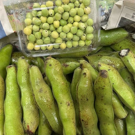 研ナオコ 親戚から届いたそら豆の画像