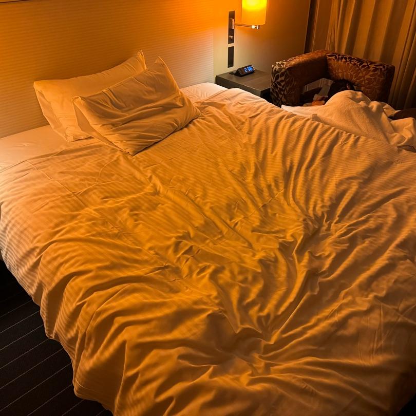 1人で寝たすごい大きさのベッドの画像