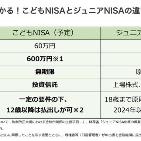 我が家がこどもNISAをしない訳の画像