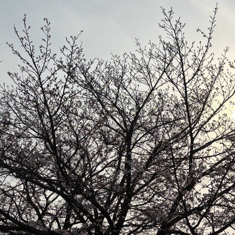 嫁のことが心配で早めに帰宅の画像