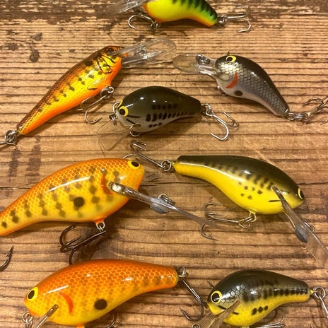 子供のころ高くて買えなかったものの画像