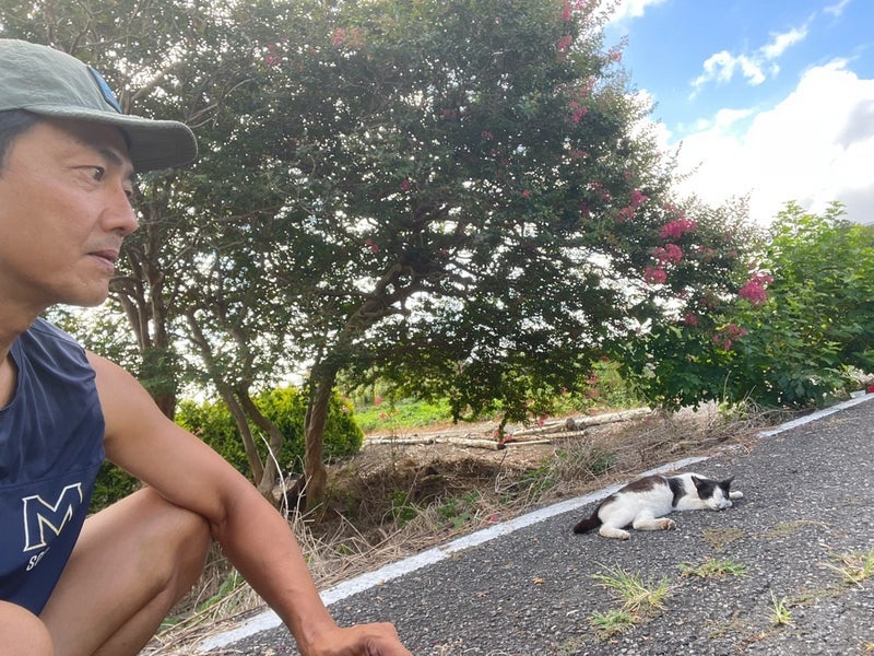 原田龍二 猫の日のたくさんの愛猫の画像