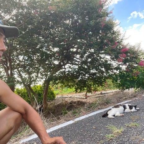 原田龍二 猫の日のたくさんの愛猫の画像