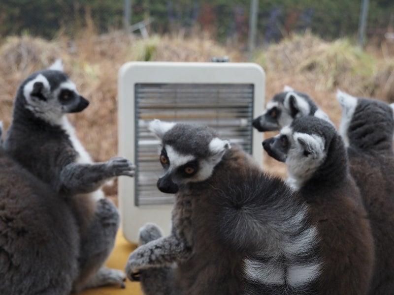 思惑を語らず最もトラブルを生むケースの画像