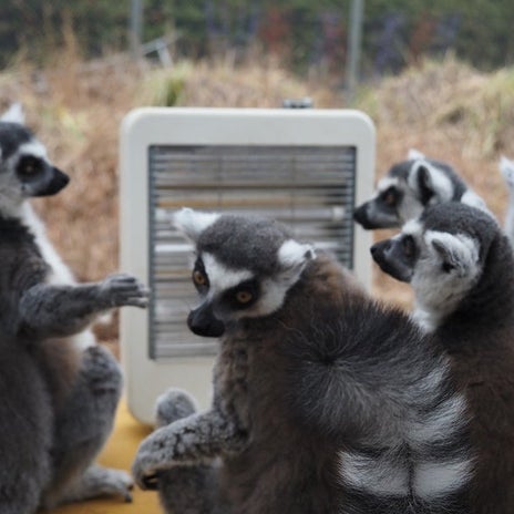 思惑を語らず最もトラブルを生むケースの画像