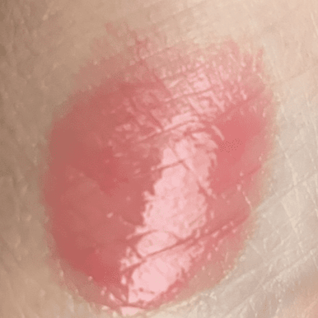 現品を見ずに予約して大正解の新作の画像