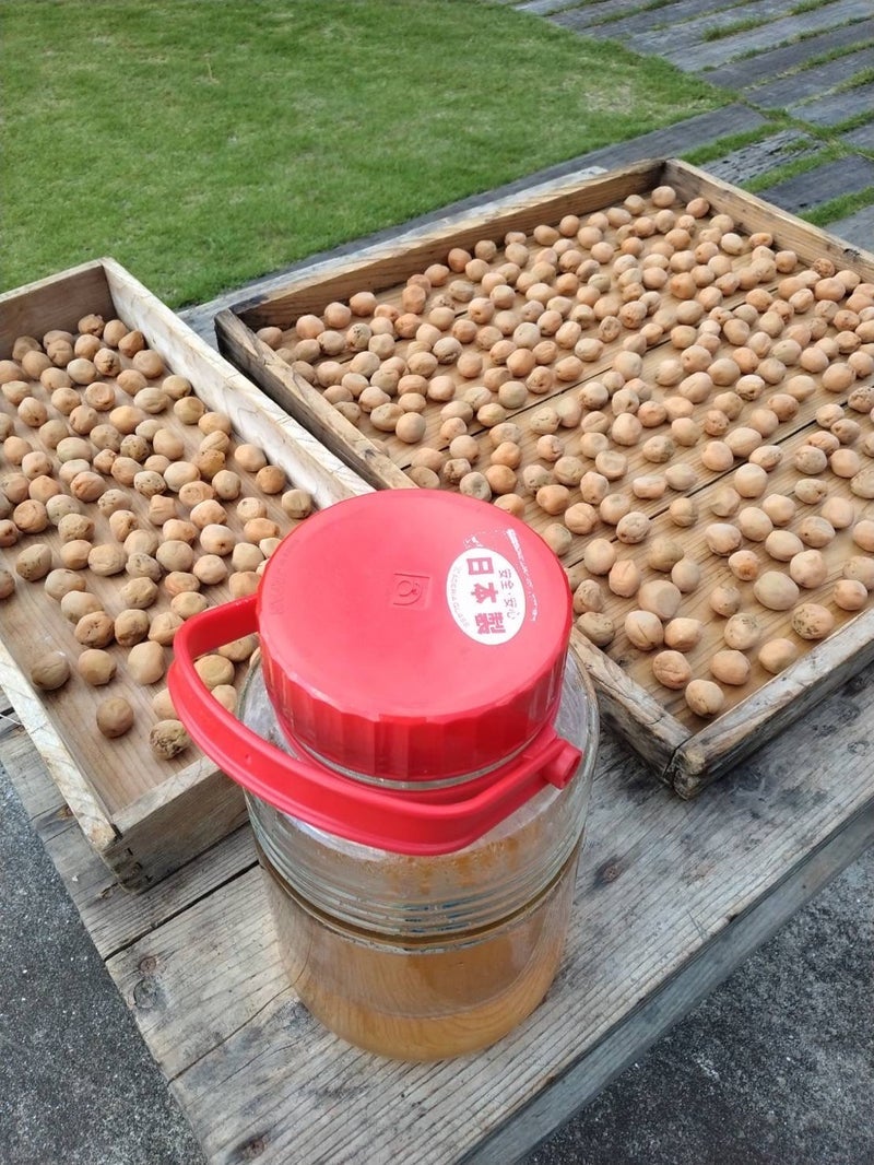 美味しいと言ったら大量にくれた母の画像