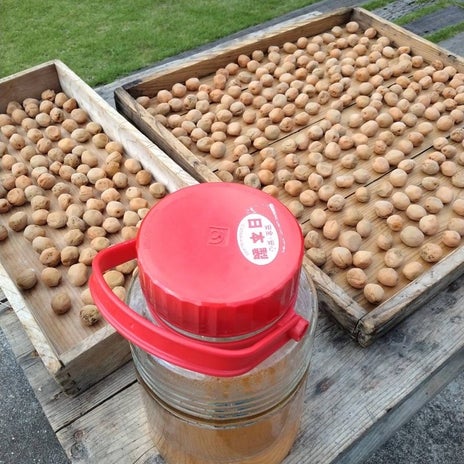 美味しいと言ったら大量にくれた母の画像