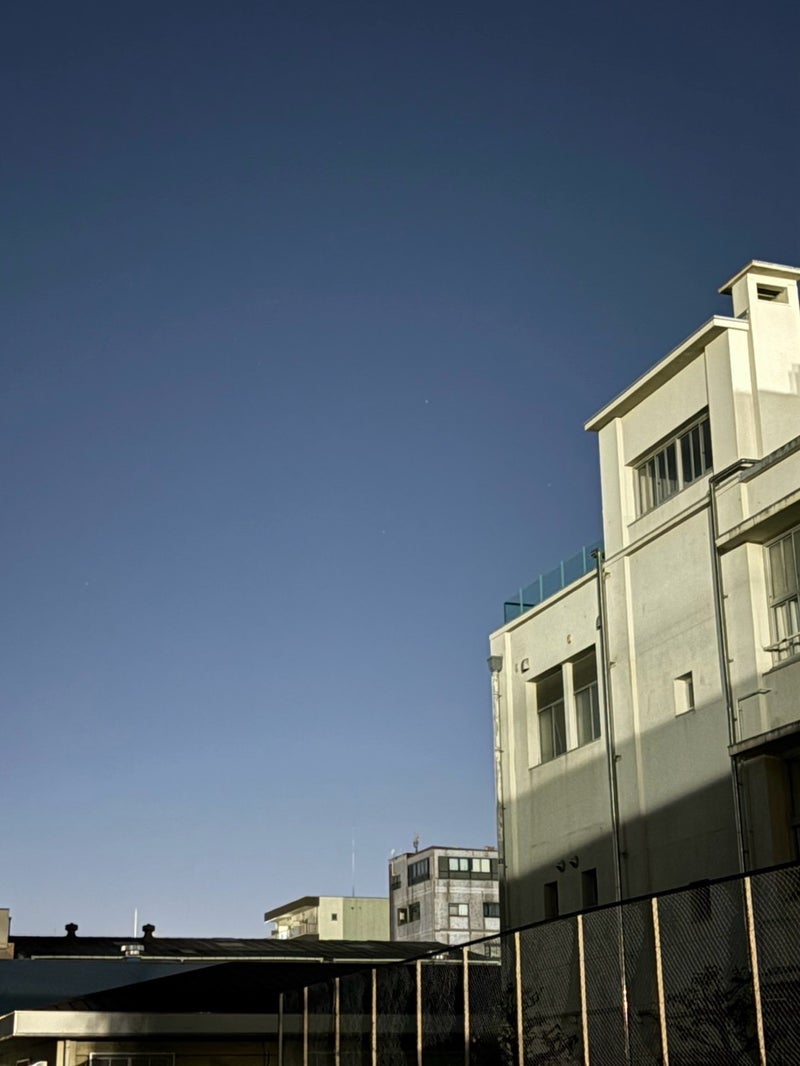 嫁の体調で控えている夜の買い物の画像