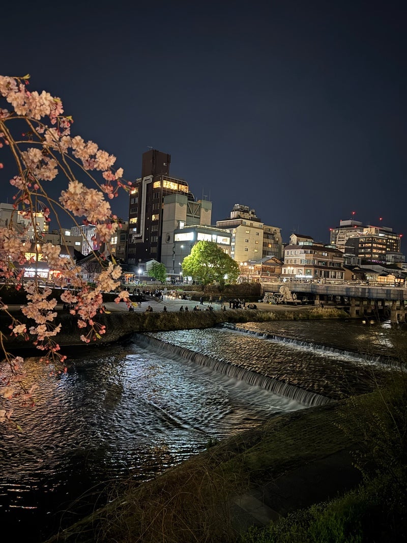 堀ちえみ 夜の京都鴨川沿いを散策の画像