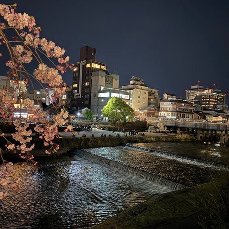 堀ちえみ 夜の京都鴨川沿いを散策の画像
