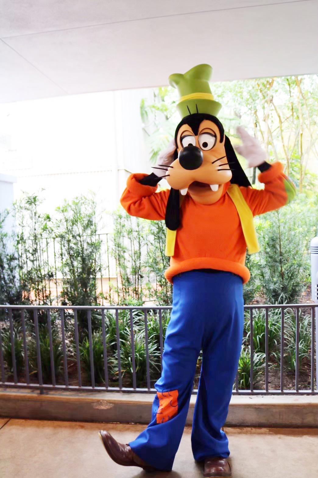 すごく呆れた顔をされた入国審査の画像