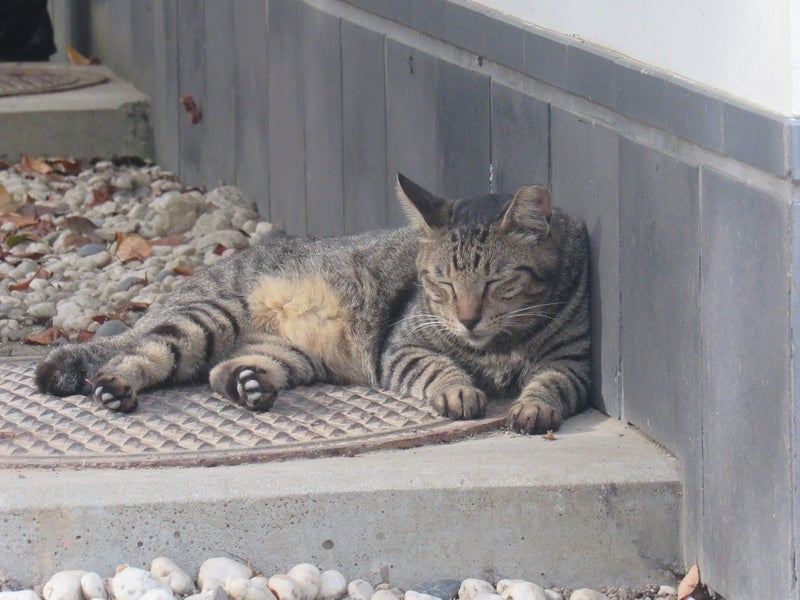 介護放棄の親族からのあり得ない電話の画像