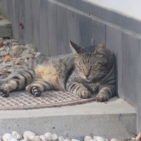介護放棄の親族からのあり得ない電話の画像