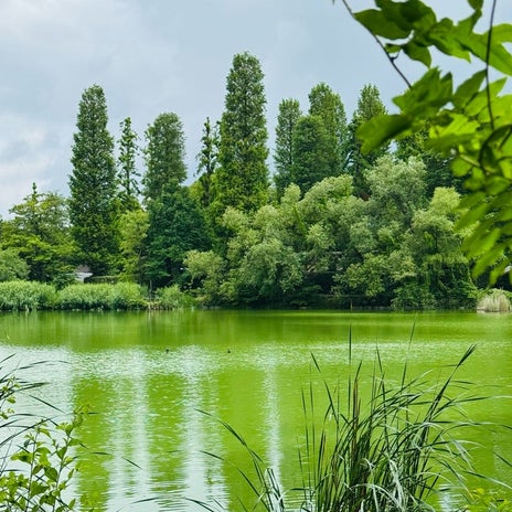 だいた カット前に公園へ行く時間の画像