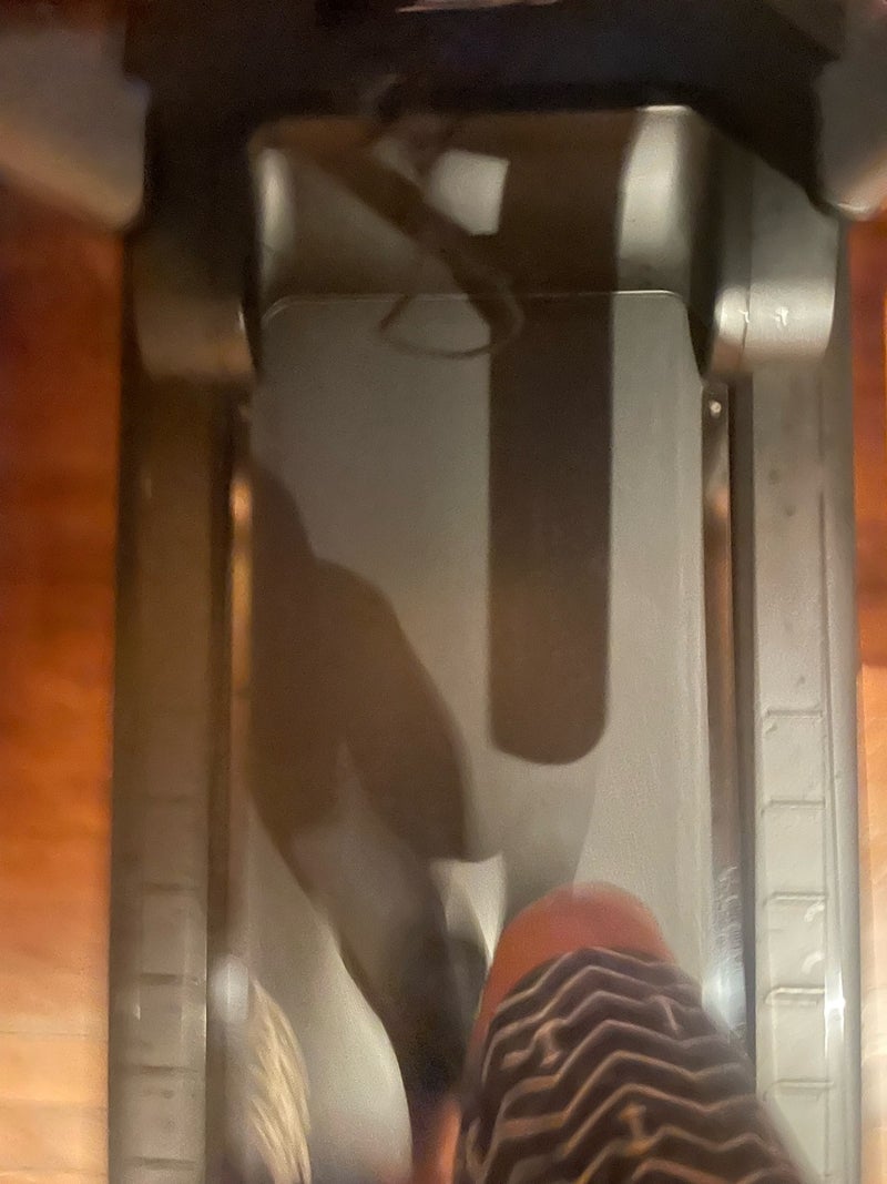 團十郎 食後に再びランニングの画像