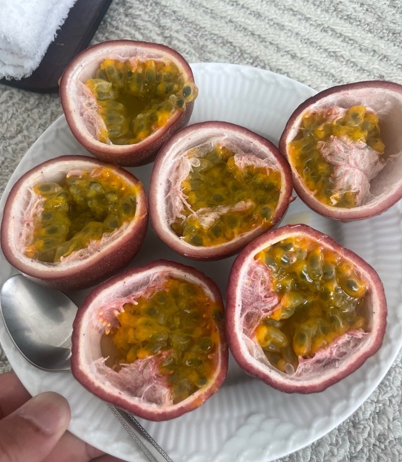 團十郎 頂いたパッションフルーツの画像