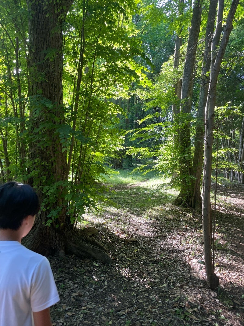 團十郎 息子とゴロンし見た葉の裏の画像