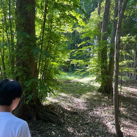 團十郎 息子とゴロンし見た葉の裏の画像