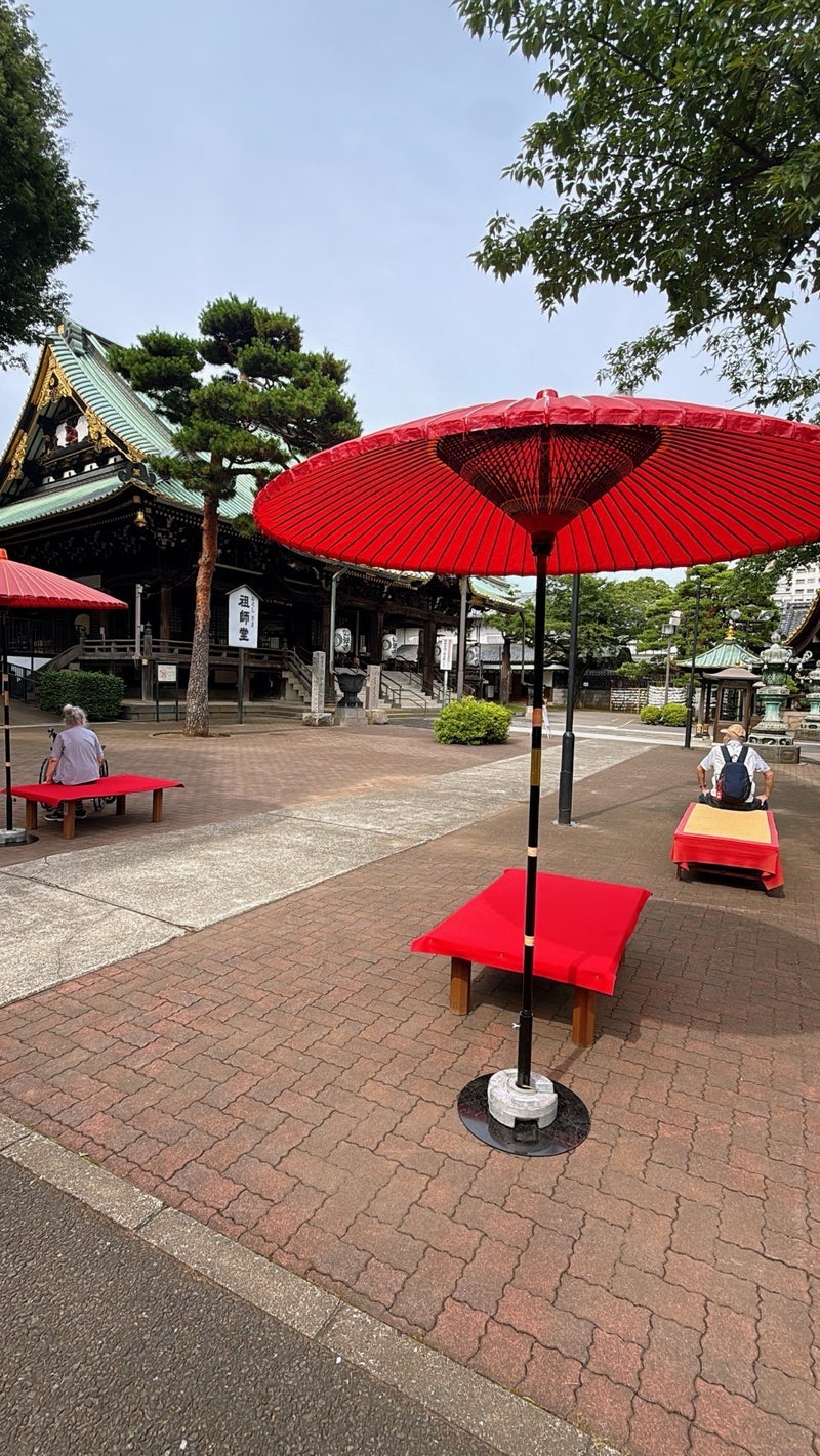 大好きな場所のお寺でちょっと休憩の画像