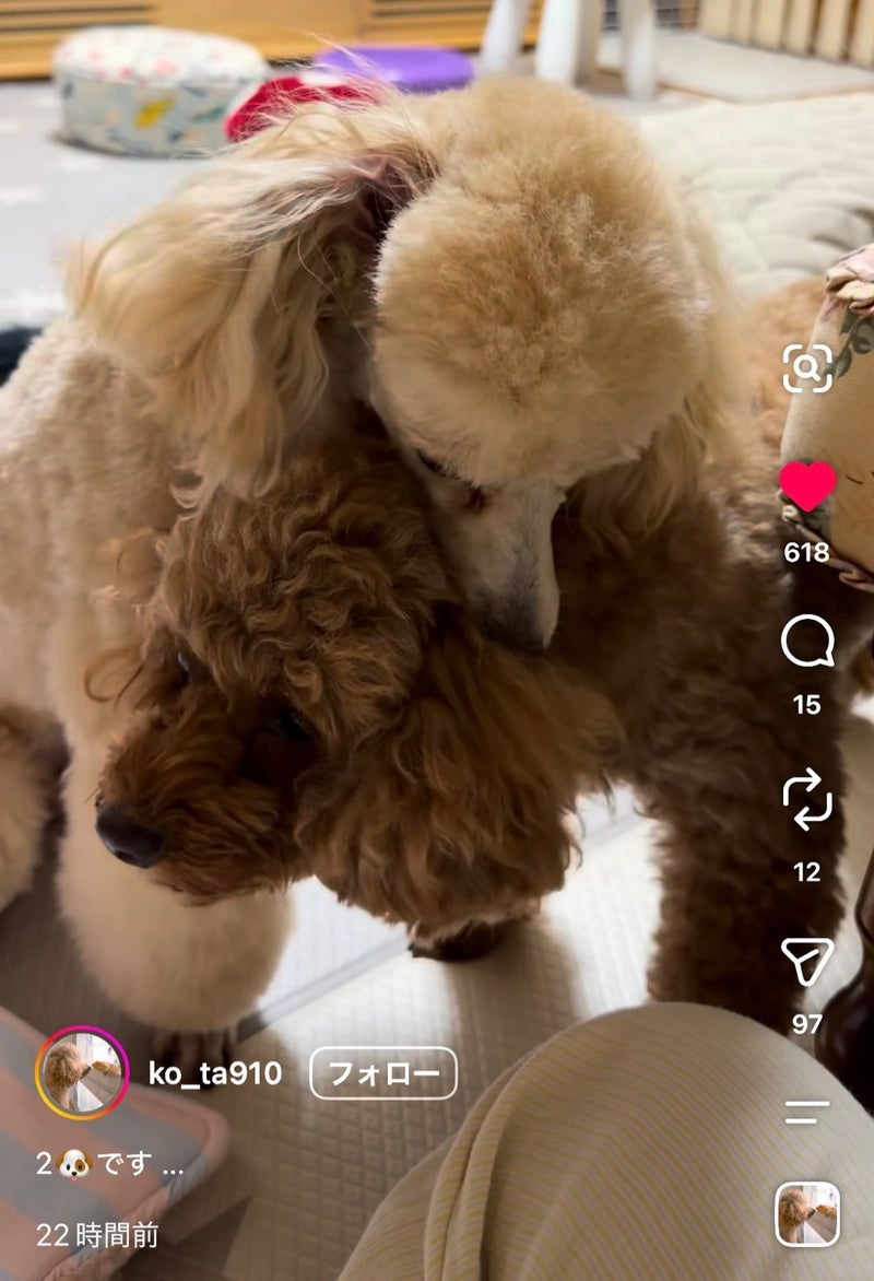 ヒデ 手術でまさかの2泊3日入院の画像