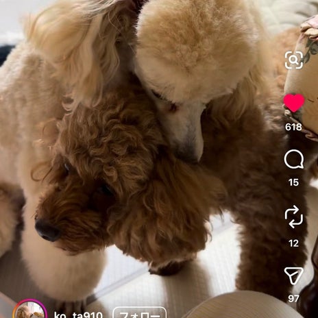 ヒデ 手術でまさかの2泊3日入院の画像