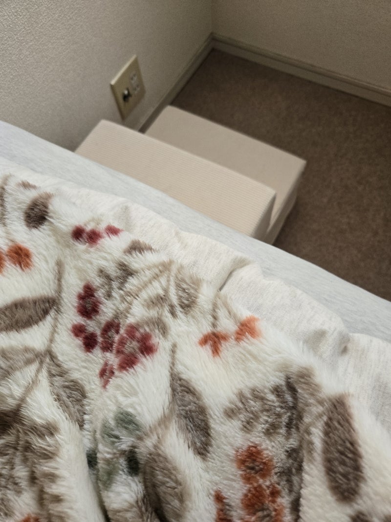 ベッドの階段を器用にあがる様子の画像