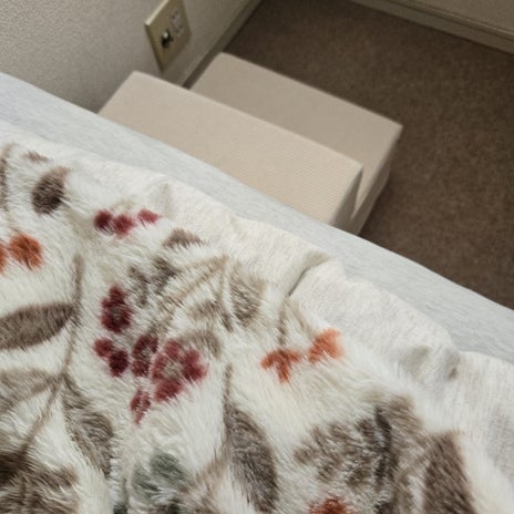 ベッドの階段を器用にあがる様子の画像