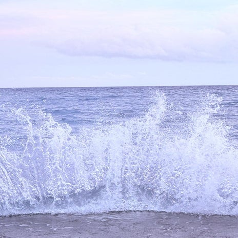 悪性の可能性を否定出来ない何かの画像