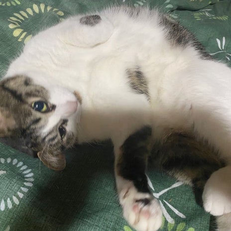 娘がバイト代で買ってくれたマックの画像