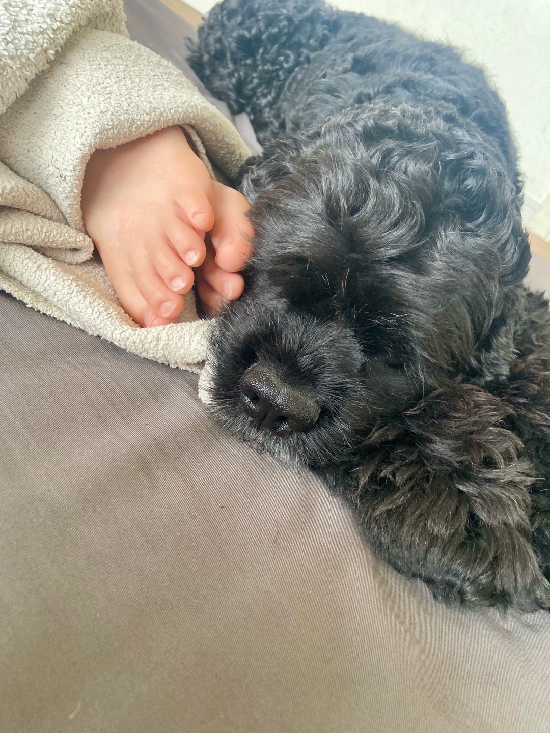 はしのえみ 娘とまどろむ愛犬