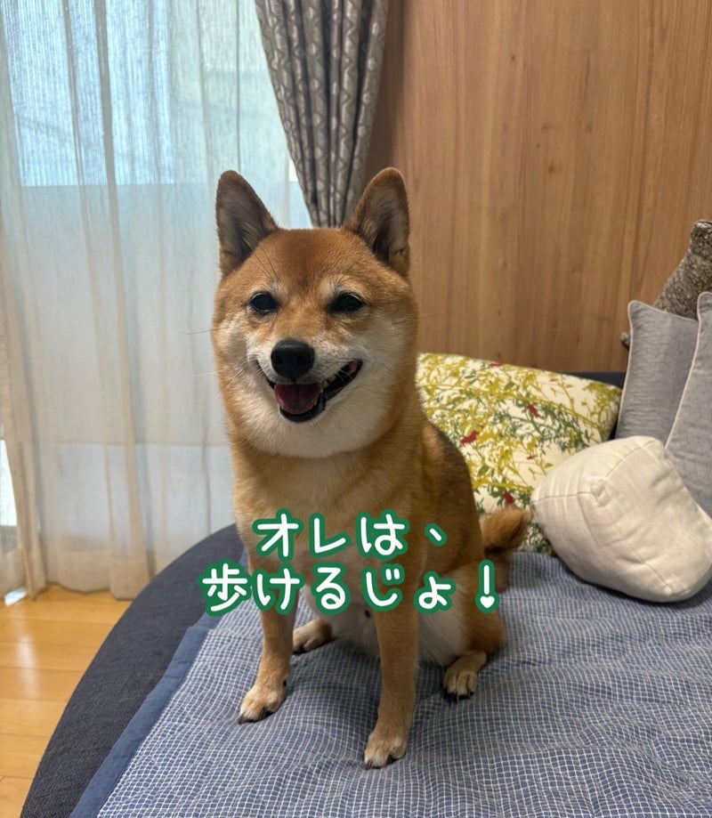転んで足が痛い母と複雑な気持ちの画像
