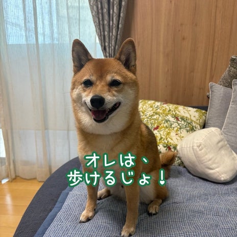 転んで足が痛い母と複雑な気持ちの画像