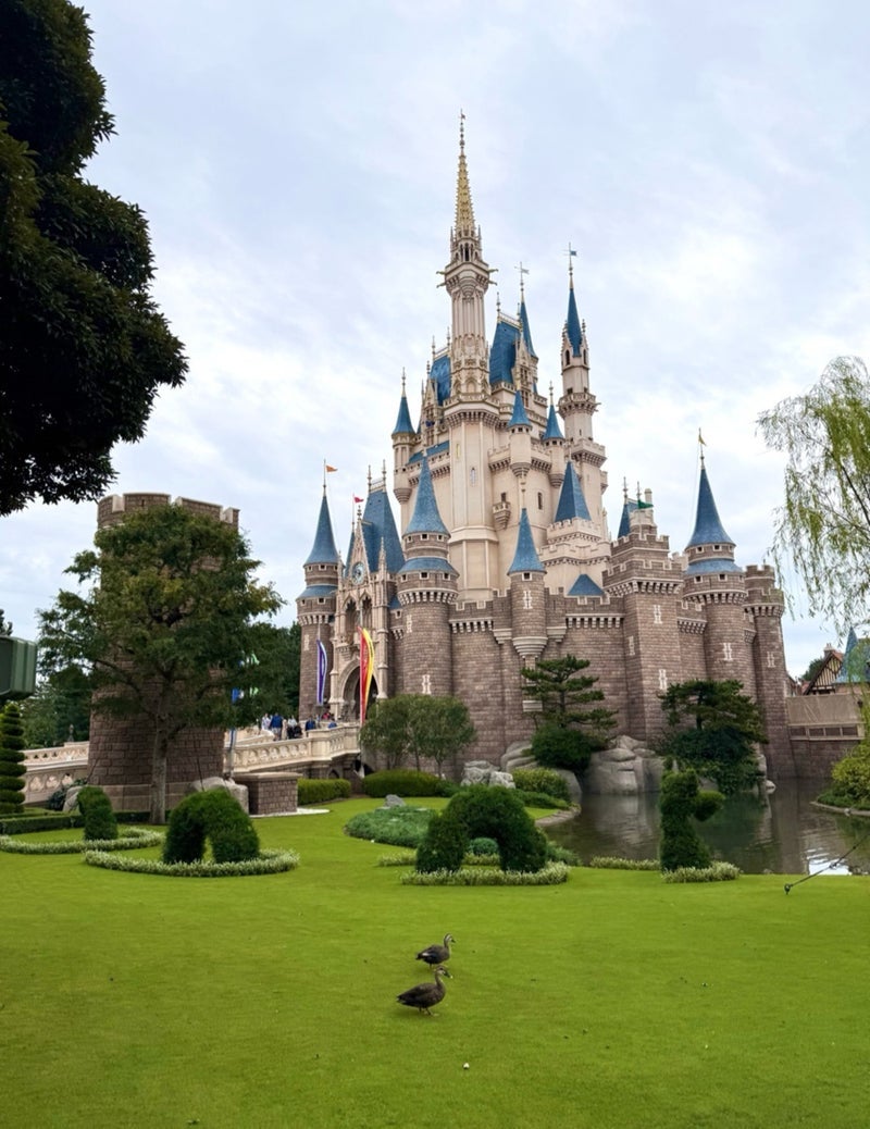 真野 両親と子どもとディズニーの画像