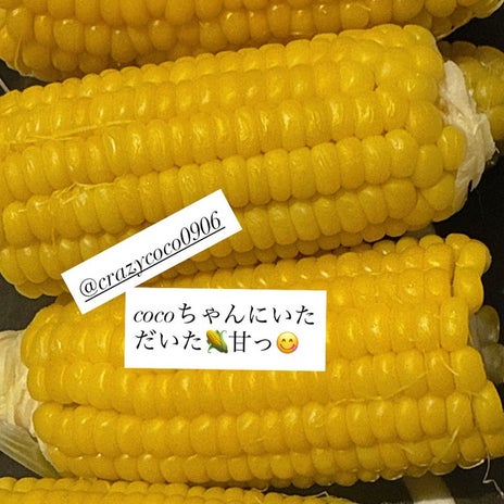 小川菜摘 嬉しい道の駅のお土産の画像