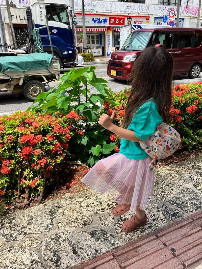 家を買ったけど行く子供との旅行の画像