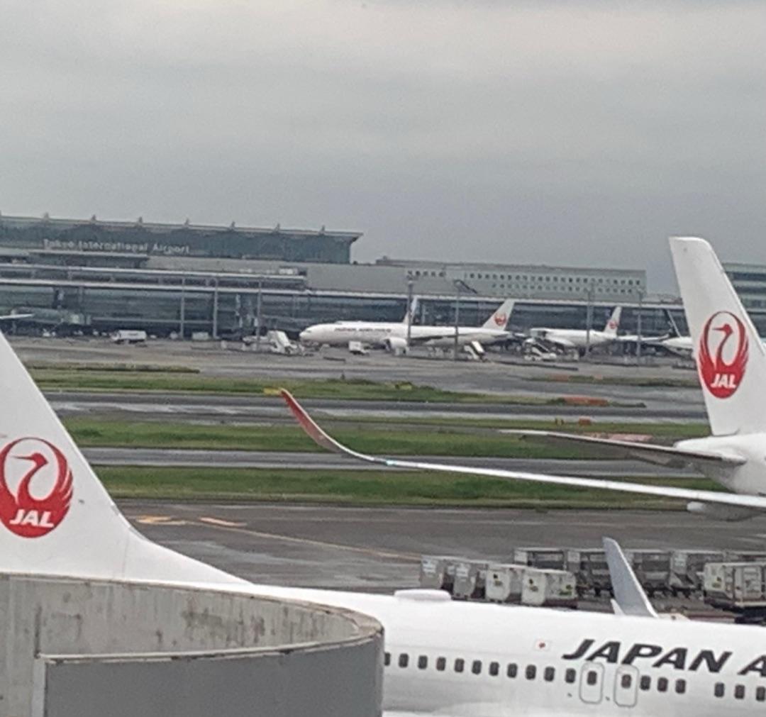 田中健 久しぶりに羽田空港への画像