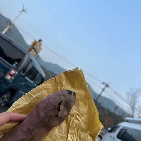 夫婦で半分こしたラスト一本の芋の画像