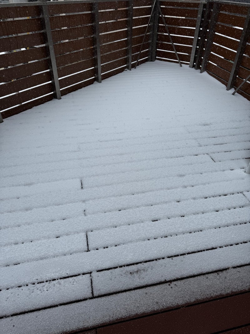 ぷちあや 暖かい伊東で雪に驚きの画像