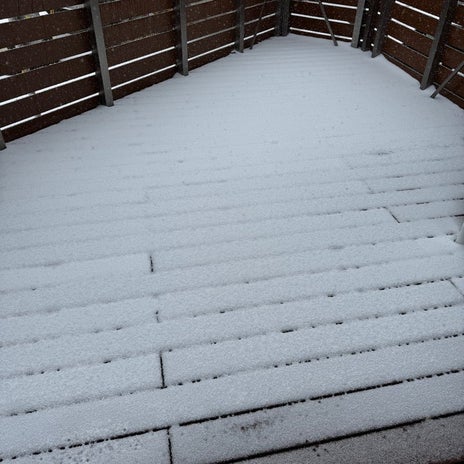 ぷちあや 暖かい伊東で雪に驚きの画像