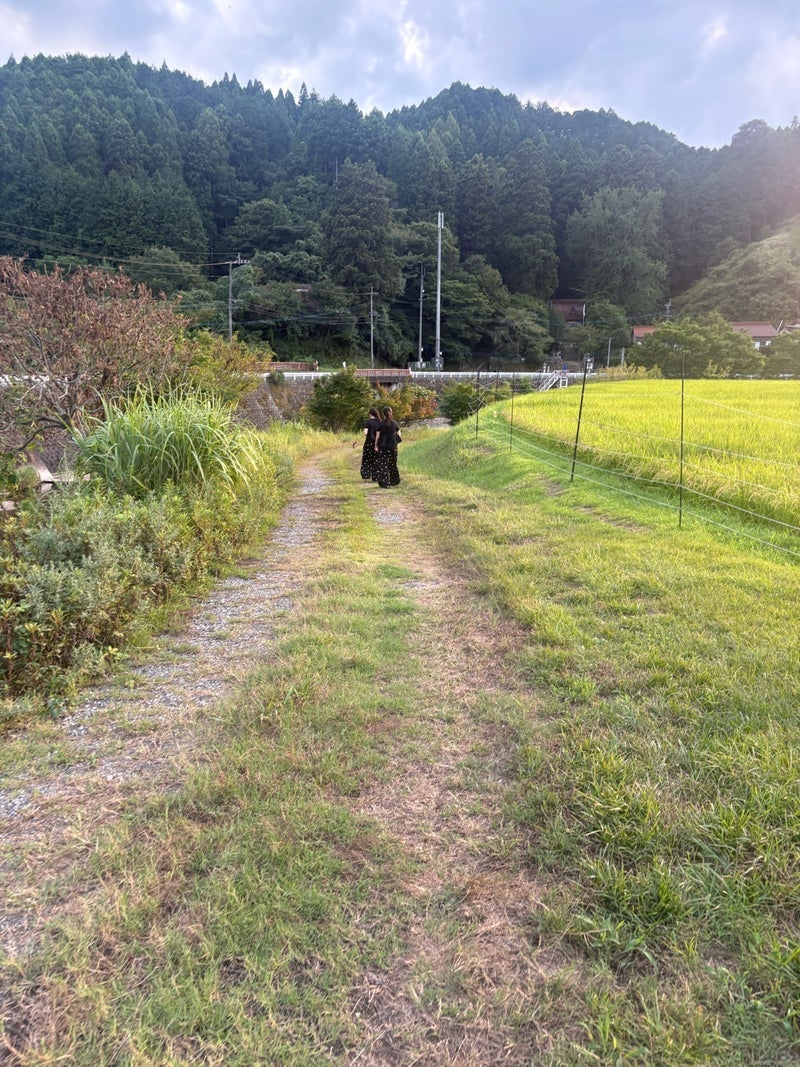 育った田舎でのいつもの犬の散歩の画像