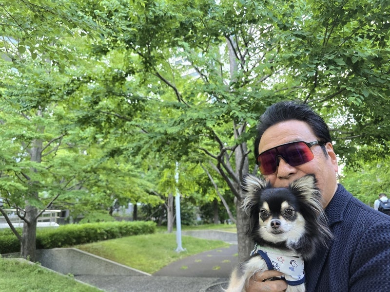 高橋英樹 暑い日の抱っこ散歩の画像