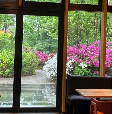 細川直美 庭園を眺めながらお茶の画像