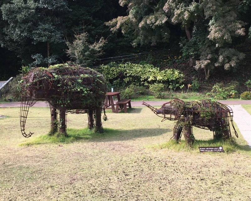 薬で抑える不安と細かい注意連発の画像