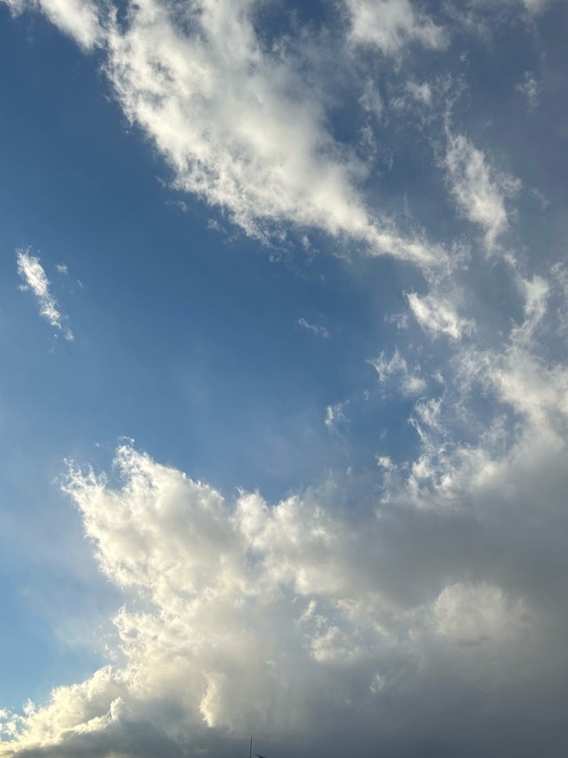 映画で果たさねばならない仕事の画像