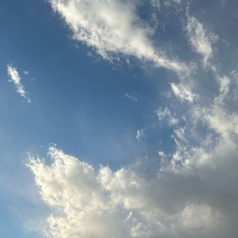 映画で果たさねばならない仕事の画像