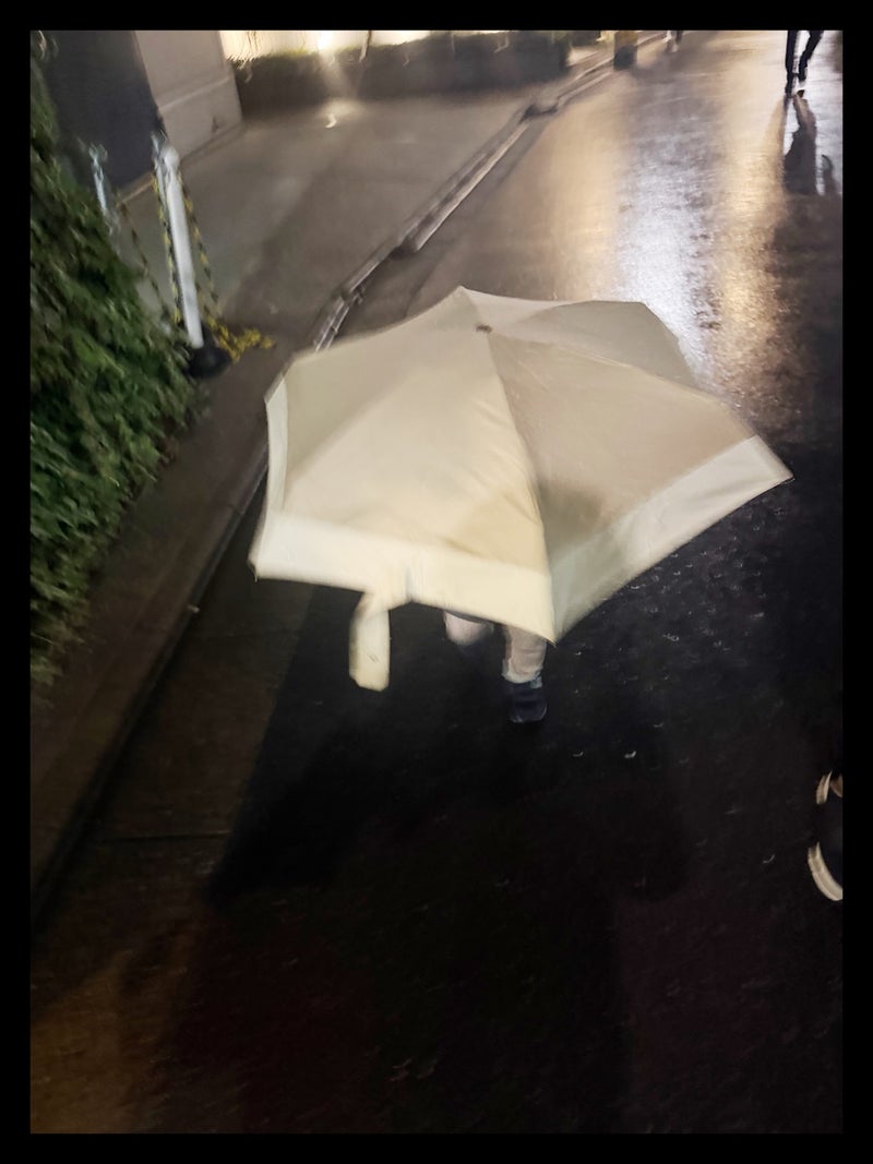 ギャル曽根 自分で持った折り畳み傘の画像