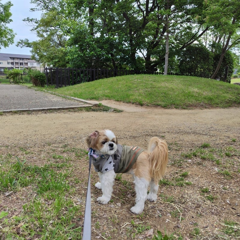 オムツやパッド換えにつける愛称の画像