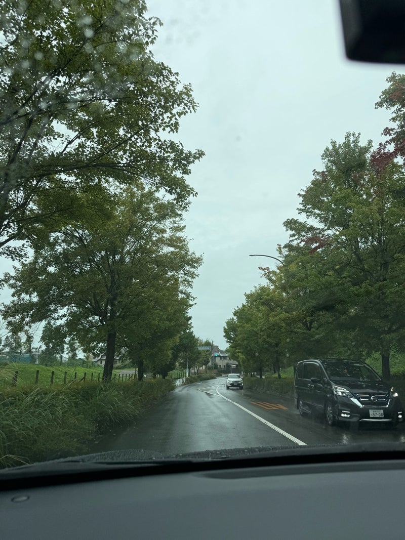 コストコへ向かうも渋滞で即決Uターンの画像
